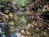 TBD Old Toxaway Road - Photo 13