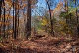 TBD Old Toxaway Road - Photo 14