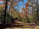 TBD Old Toxaway Road - Photo 16