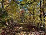 TBD Old Toxaway Road - Photo 18