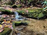 TBD Old Toxaway Road - Photo 19
