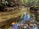 TBD Old Toxaway Road - Photo 22