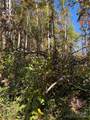 202 Lyndhurst Drive - Photo 3