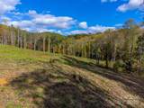 8125 Ellijay Road - Photo 23