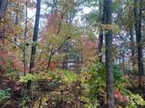 LOT 149 Willow Bend - Photo 12
