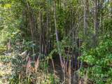 0 Moore Mountain Lane - Photo 29