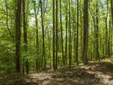 26 Fall Mountain Road - Photo 8