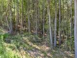 0 Moore Mountain Lane - Photo 30