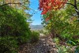 TBD Sassafras Ridge - Photo 19