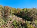 TBD Sassafras Ridge - Photo 8