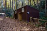 3761 Frozen Creek Road - Photo 6