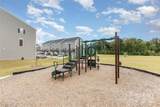 2203 Autumn Olive Lane - Photo 35