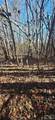0 Gettys Road - Photo 4