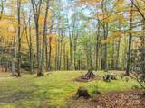 126 Lower Nettle Knob Road - Photo 34
