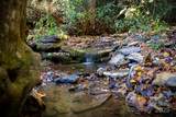 808 Mountain Cove Road - Photo 29