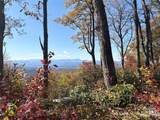 Lot 64 Feather Stone Drive - Photo 4