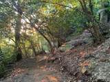 Lot 64 Feather Stone Drive - Photo 8
