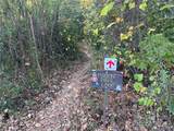 1314 Cortland Road - Photo 15