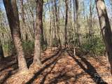 00 Lytle Mountain Road - Photo 13