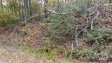 00 Lytle Mountain Road - Photo 6