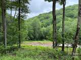 TBD Junaluska Road - Photo 9