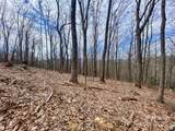 TBD Old Chestnut Mountain Road - Photo 11