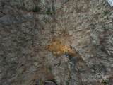 TBD Old Chestnut Mountain Road - Photo 12