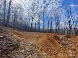 TBD Old Chestnut Mountain Road - Photo 3