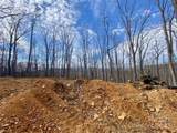 TBD Old Chestnut Mountain Road - Photo 4