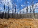 TBD Old Chestnut Mountain Road - Photo 6
