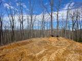 TBD Old Chestnut Mountain Road - Photo 7