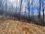TBD Old Chestnut Mountain Road - Photo 8