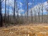 TBD Old Chestnut Mountain Road - Photo 9