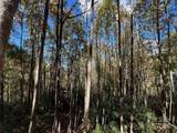0 Wild Magnolia Way - Photo 1
