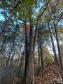 0 Wild Magnolia Way - Photo 11