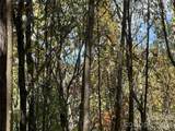 0 Wild Magnolia Way - Photo 3