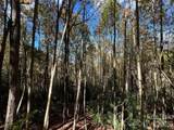 0 Wild Magnolia Way - Photo 5