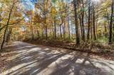 2575 Wolf Pit Road - Photo 14