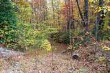4B Lower Flat Creek Road - Photo 1
