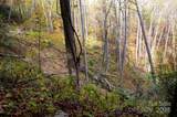 4B Lower Flat Creek Road - Photo 7