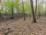 TBD Wards Gap Road - Photo 7