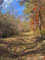 TBD Paint Fork Road - Photo 11