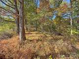 TBD Paint Fork Road - Photo 13