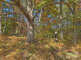 TBD Paint Fork Road - Photo 14