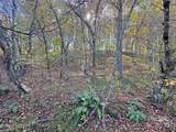 TBD Paint Fork Road - Photo 25