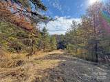 TBD Paint Fork Road - Photo 32