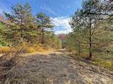 TBD Paint Fork Road - Photo 33
