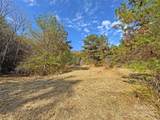 TBD Paint Fork Road - Photo 10