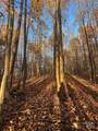00 Black Oak Ridge Road - Photo 4