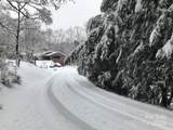 233 Rolling Drive - Photo 35